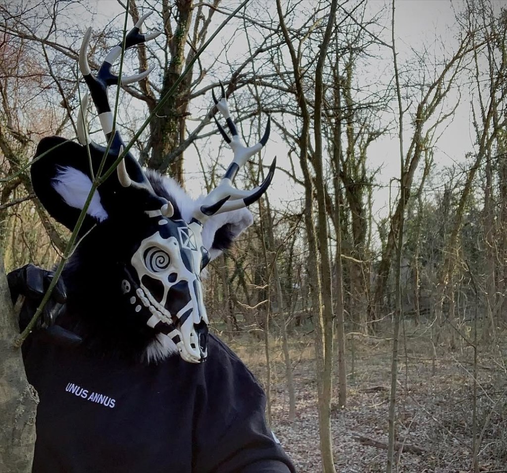 Photo of Memoriam in the woods; Memoriam is a 3D printed deer skull painted white and black, with spiral eyes and fabric ears, one black and one white